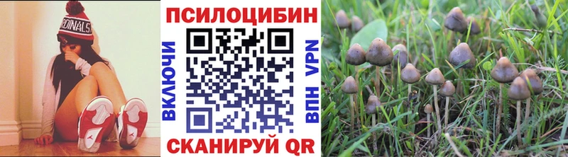 Галлюциногенные грибы MAGIC MUSHROOMS  Беломорск 